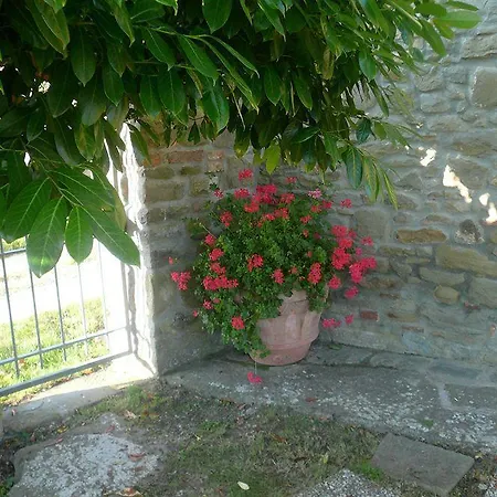 Apartment Il Gelso
