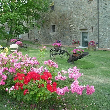 Il Gelso Cortona